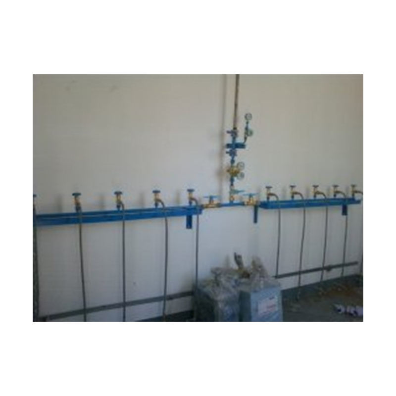 Gas manifold system