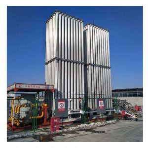 Vaporizer for LNG & Industrial Gas (3) Vaporizer for LNG & Industrial Gas